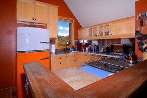 Fridge, microwave, oven, stovetop - The Surf Shack, Unique cozy house in Pitchfork (Crested Butte)