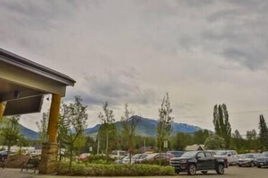 Property grounds - Hot Tub & Gym / Pool / Ground-Floor Condo (Fernie)