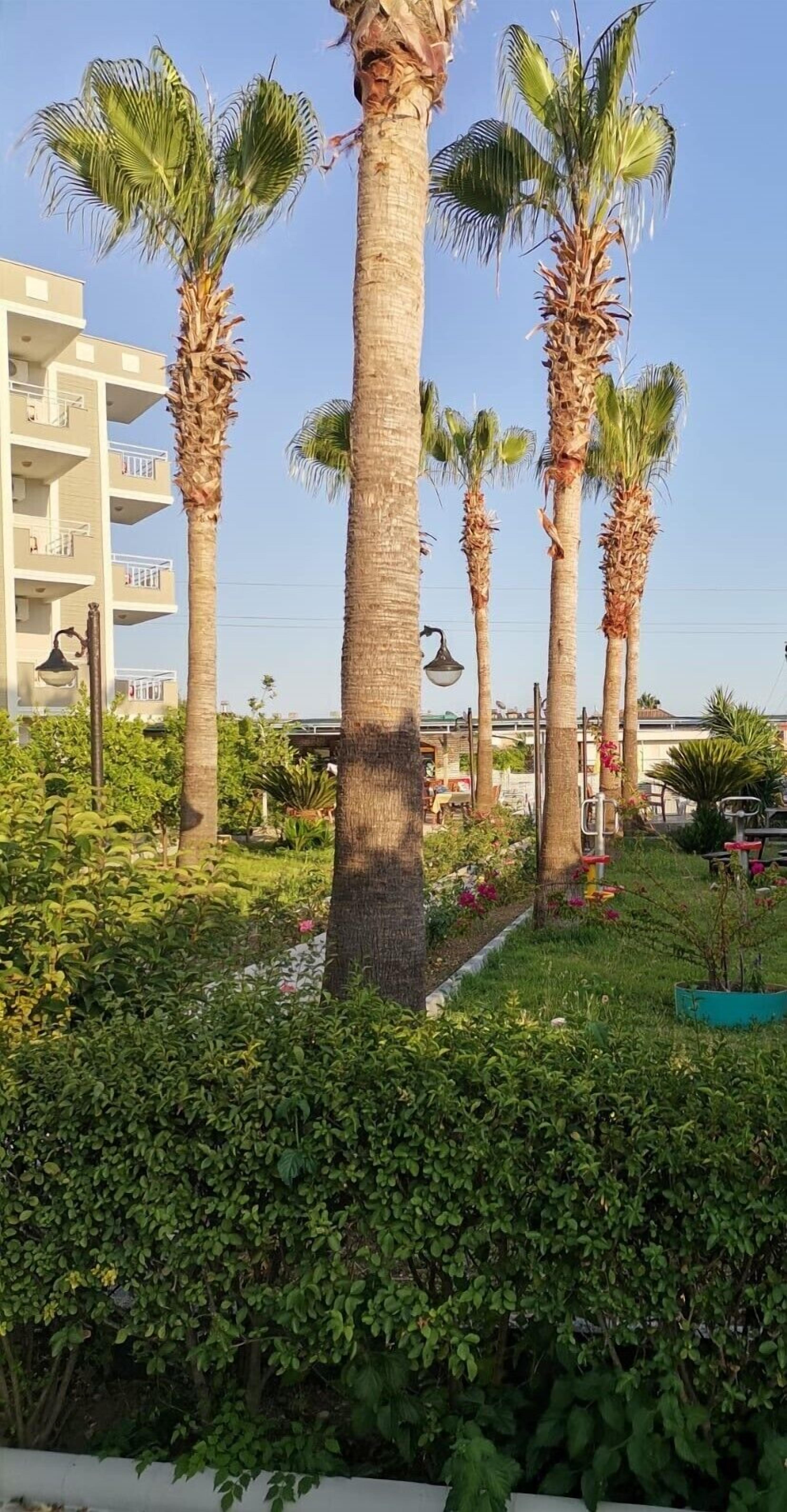 Photo - Side Özgürhan Hotel