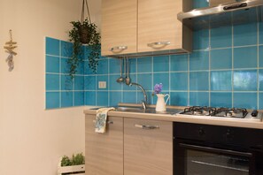 Fridge, oven, stovetop, toaster