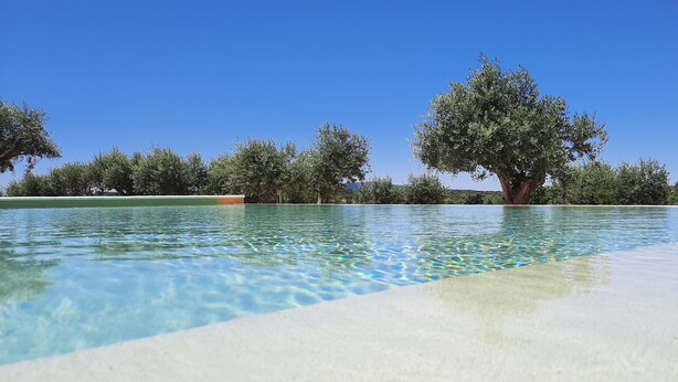 A clear swimming pool with a sandy bottom and a tree in the center.