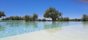 A clear swimming pool with a sandy bottom and a tree in the center. - Quinta da Soneca Turismo Rural (Alandroal)