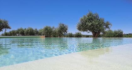 Quinta da Soneca Turismo Rural