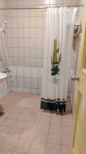Regadera en el baño