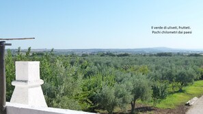 Immagine non classificata, 3 di 4, pulsante