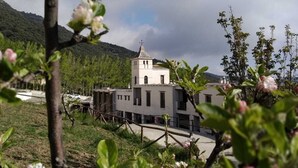 Um edifício com uma torre, cercado por vegetação e céu claro.