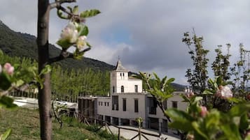 外观细节