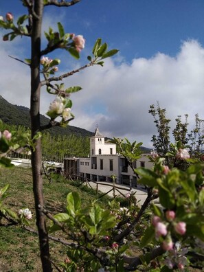 Exterior detail - Hotel Apartamento Nueva Alcazaba (Busquistar)