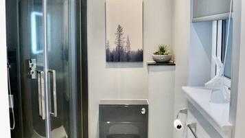 A modern bathroom with a glass shower enclosure, a toilet, and a sink with a mirror.
