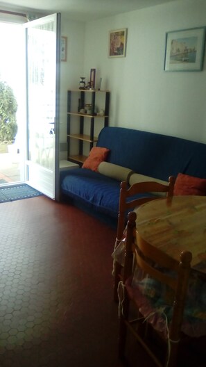 Télévision, lecteur de DVD, livres