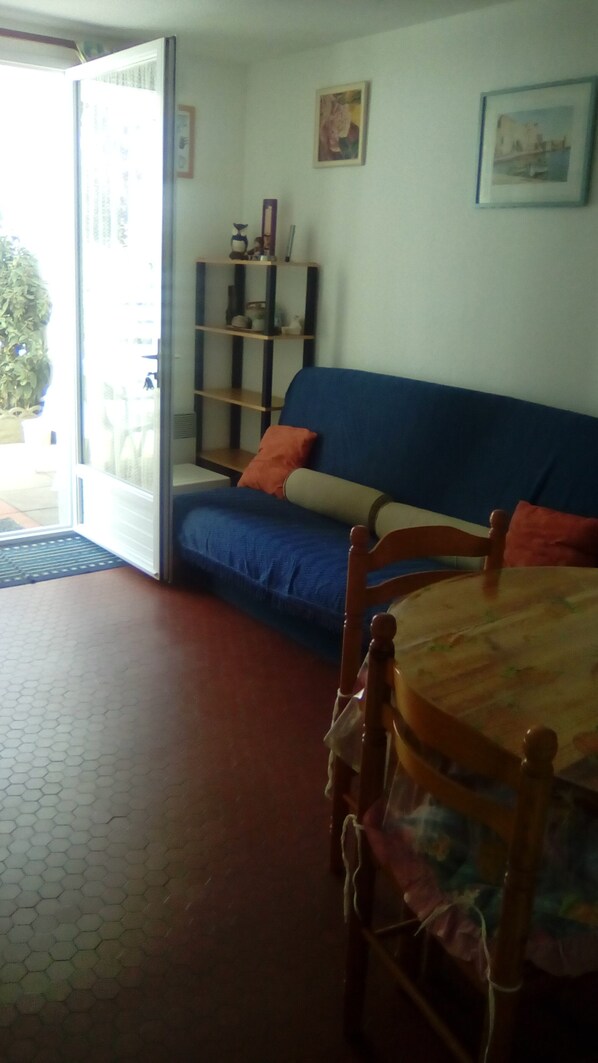 TV, DVD player, books