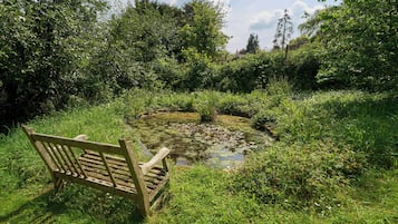 Land view from property