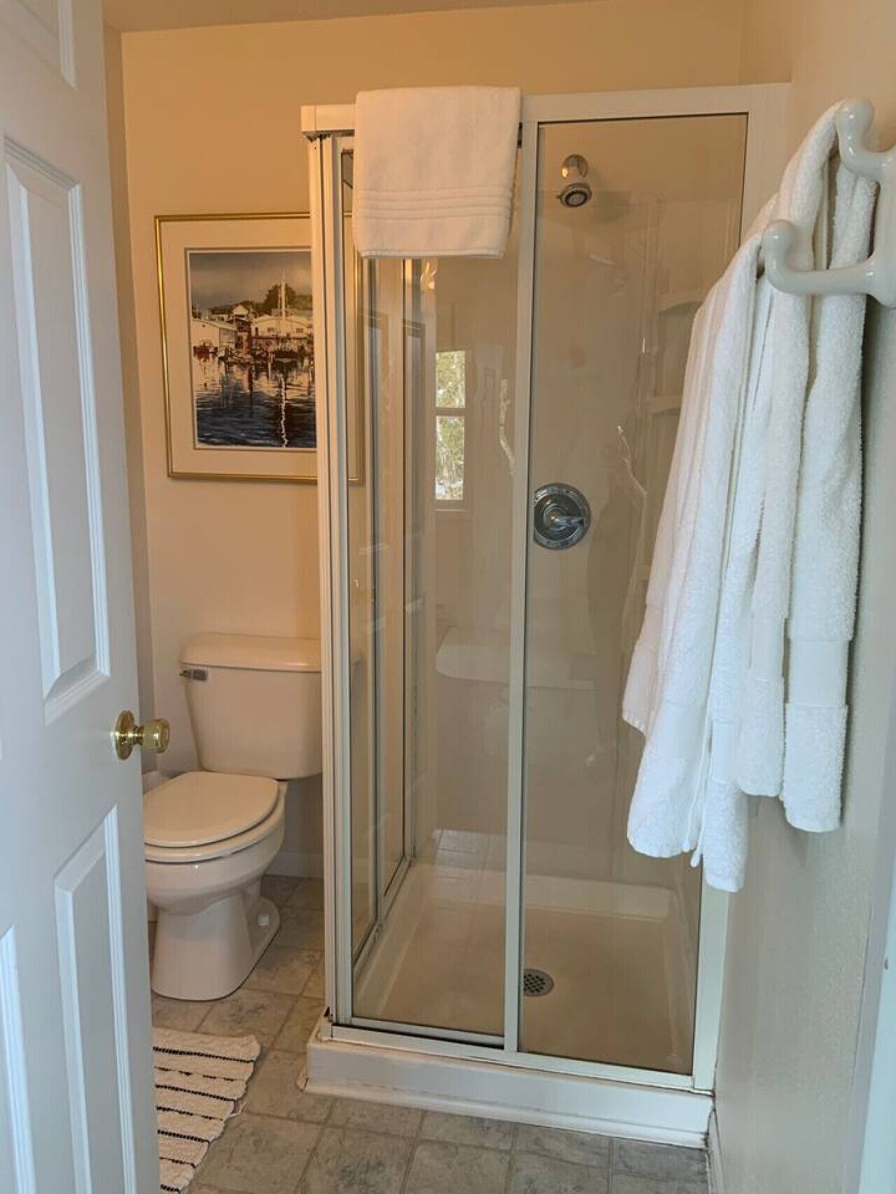 Hair dryer, towels