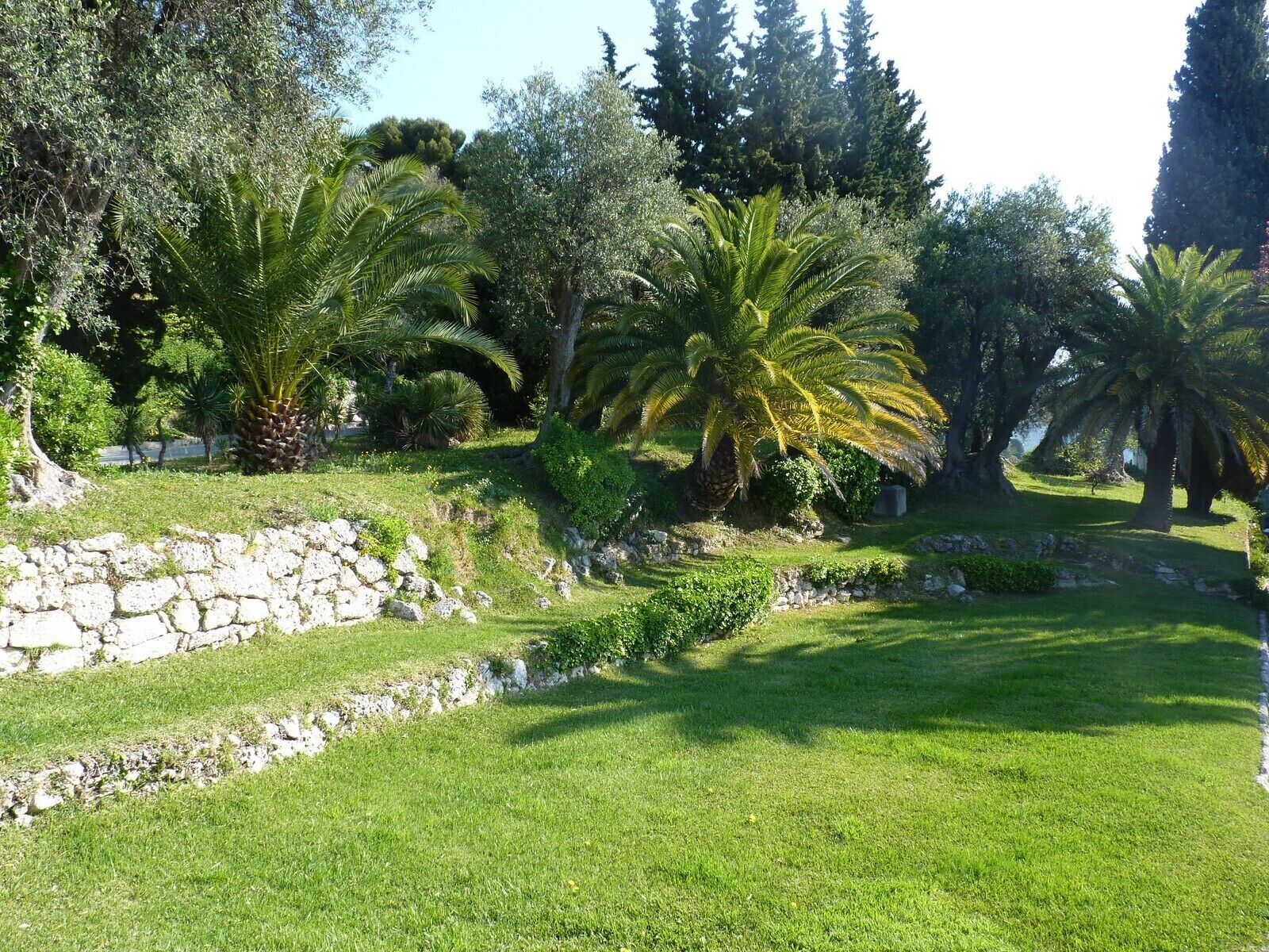 Un giardino curato con palme, un muro in pietra e una zona verde.