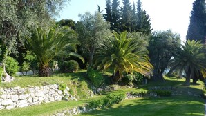 Un jardin aménagé avec des palmiers, un mur de pierre et une pelouse.
