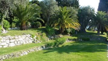 Un giardino curato con palme, un muro in pietra e una zona verde.