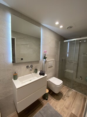 Douche, sèche-cheveux, serviettes fournies, papier toilette