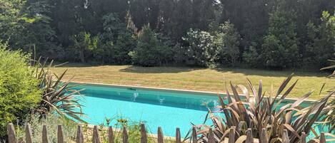 Seasonal outdoor pool, pool loungers