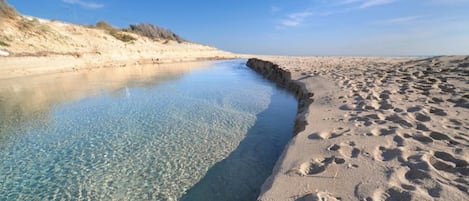 Nära stranden
