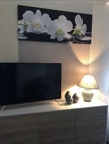 Television