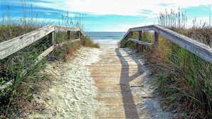 A wooden boardwalk leading to the beach with sand and grass on either side. - SeaPines, Lovely Updates,  On site pool, Free Tennis and Fitness Center, Pets OK (Hilton Head Island)