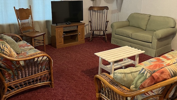 Un salon comprenant un téléviseur, deux fauteuils en osier, un canapé vert, une petite table blanche et un tapis rouge.