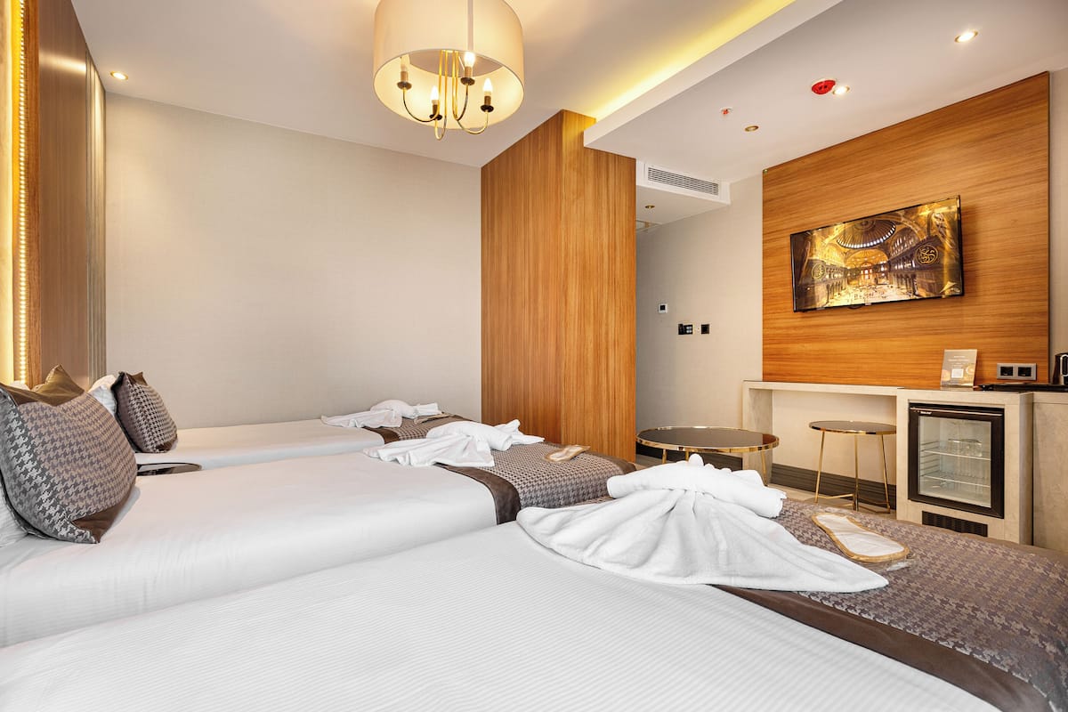 Economy Triple Room | Minibar, in-room safe, soundproofing, iron/ironing board