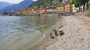 A lakeside view with buildings, a pebbled beach, and ducks on the shore. - Residenza Bel Sit - Apt. 6 (Domaso)