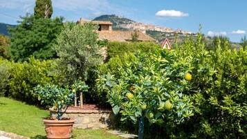 Overnatningsstedets område