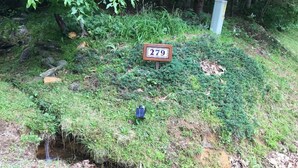 A natural setting with a sign displaying the number 279, a solar-powered device, and a small stream. - Touche' Too Cabin by Buffalo Mtn Getaway (Meadows of Dan)
