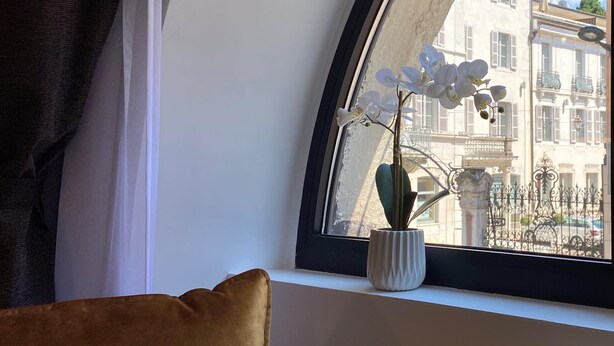 A window with a view of a building, a potted orchid, and a brown cushion.