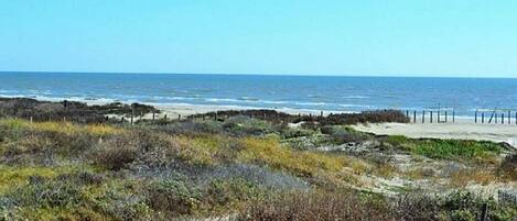 Serviettes de plage