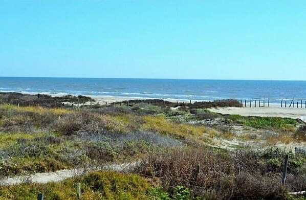 Enjoy the serene coastal landscape with a sandy beach and lush vegetation.