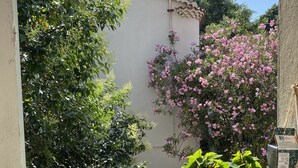 Un balcon orné de plantes en pot, d’où l’on peut admirer un immeuble aux volets fermés.