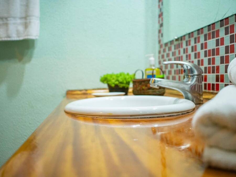 Um banheiro com bancada de madeira, pia branca, uma pequena planta em vaso e uma toalha pendurada na parede.