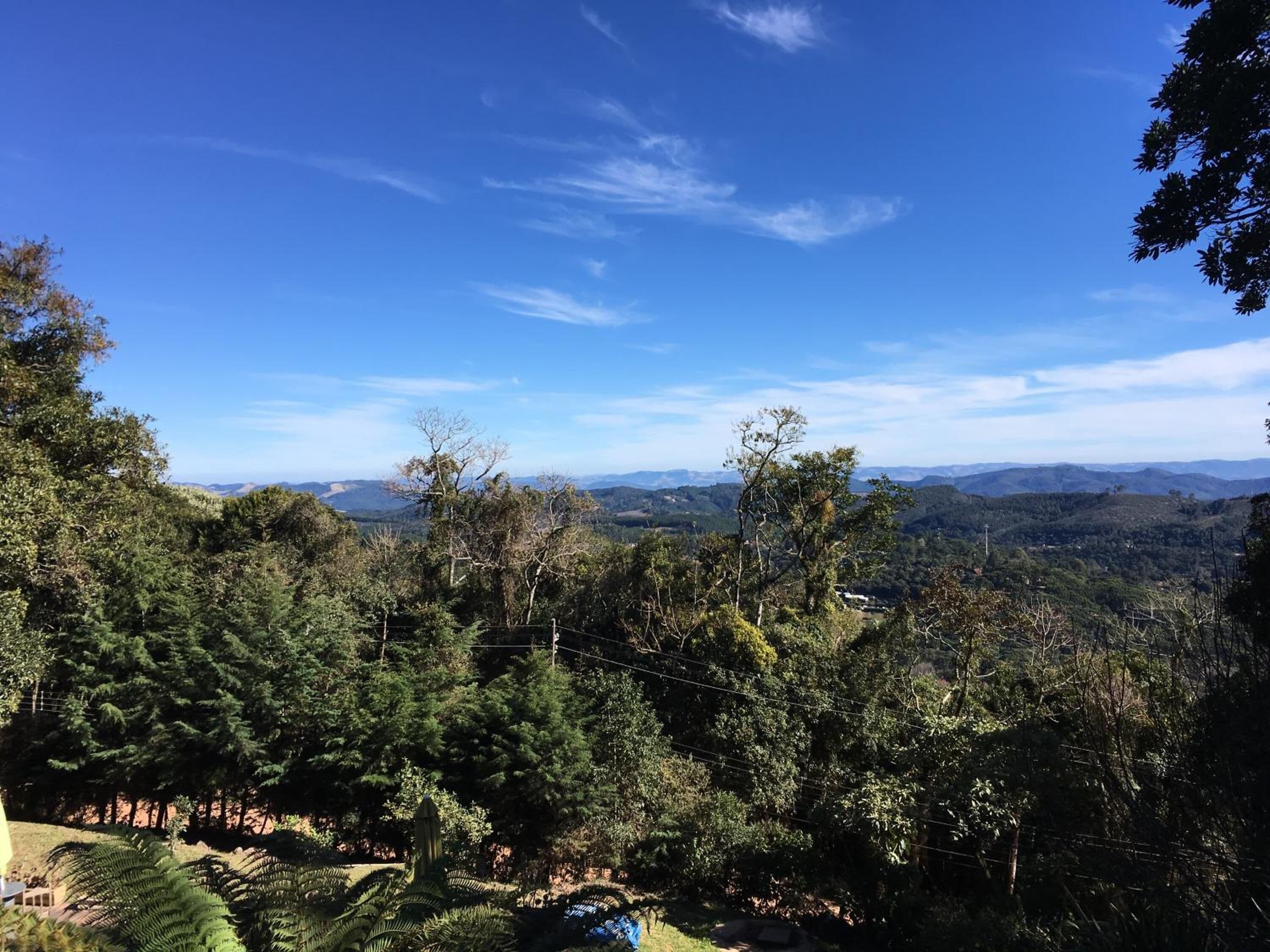 Un paisaje exuberante y verde con árboles densos y un cielo azul claro.