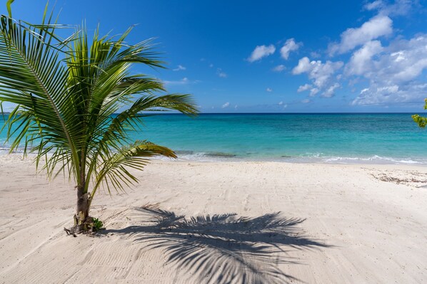 A beach with clear turquoise water, a palm tree, and a clear sky. - 7 Mile Beach views from the Roof terrace. Luxury Condo with Private Beach Club (West Bay)