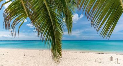 7 Mile Beach views from the Roof terrace. Luxury Condo with Private Beach Club