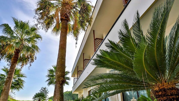 Un bâtiment moderne doté d’un balcon, entouré de palmiers et d’un jardin bien entretenu.