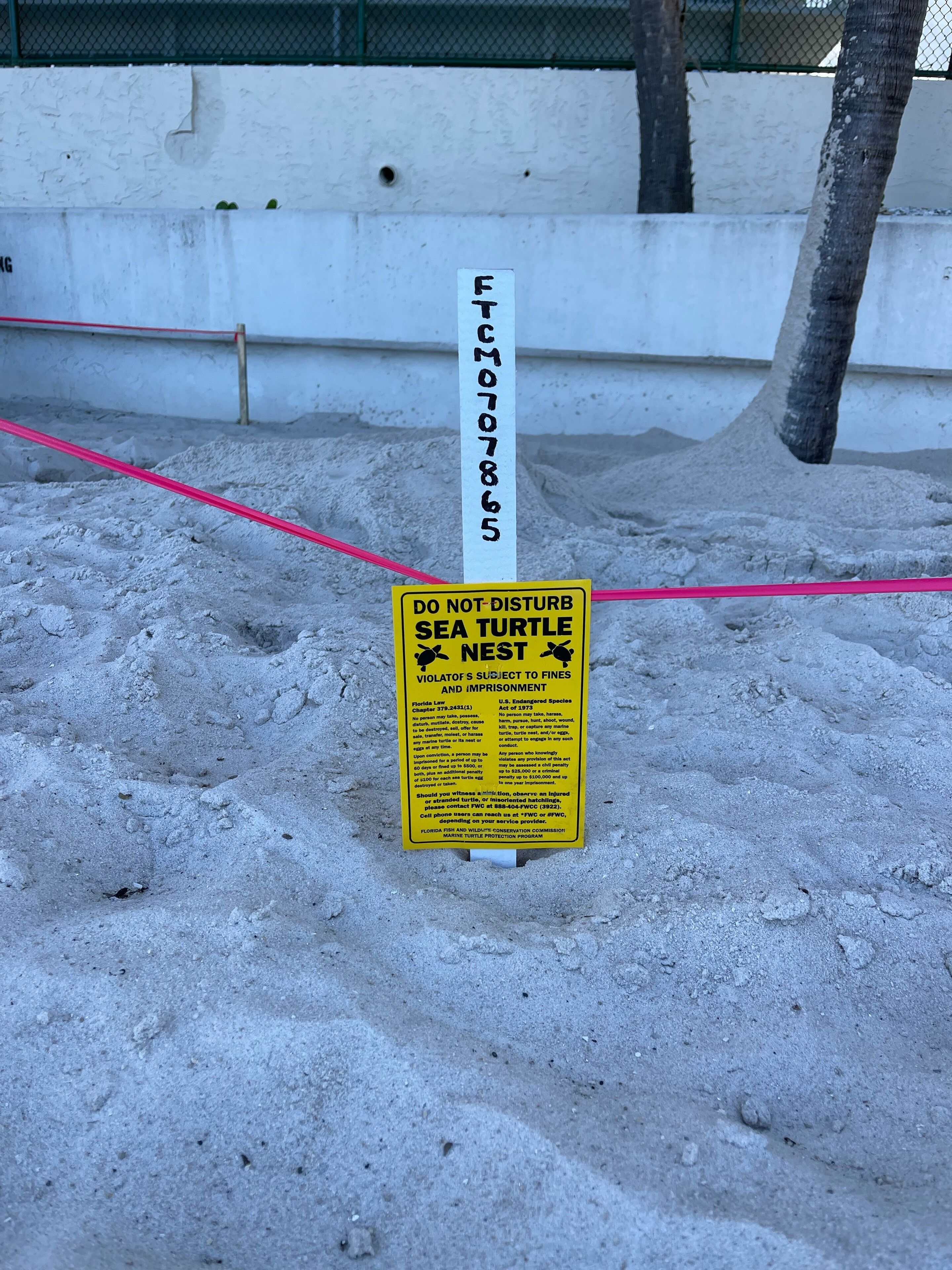 Un panneau d’avertissement interdisant de déranger les nids de tortues marines, avec une barrière faite d’une corde rouge.