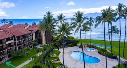 NO RESORT or PARKING FEES. Beautiful ocean front, ground level condo with A/C.