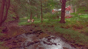 A forested area with a stream, a red house, and outdoor seating. - Romantic Waterfront Cottage for Cherry Springs (Coudersport)