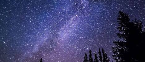 Cielo nocturno estrellado con la Vía Láctea visible, rodeado de siluetas de árboles altos.