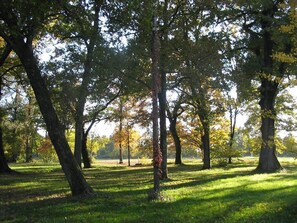 Áreas de la propiedad