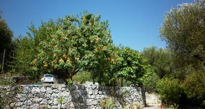 Apartments in villa with terraces and large garden in Marina di Camerota