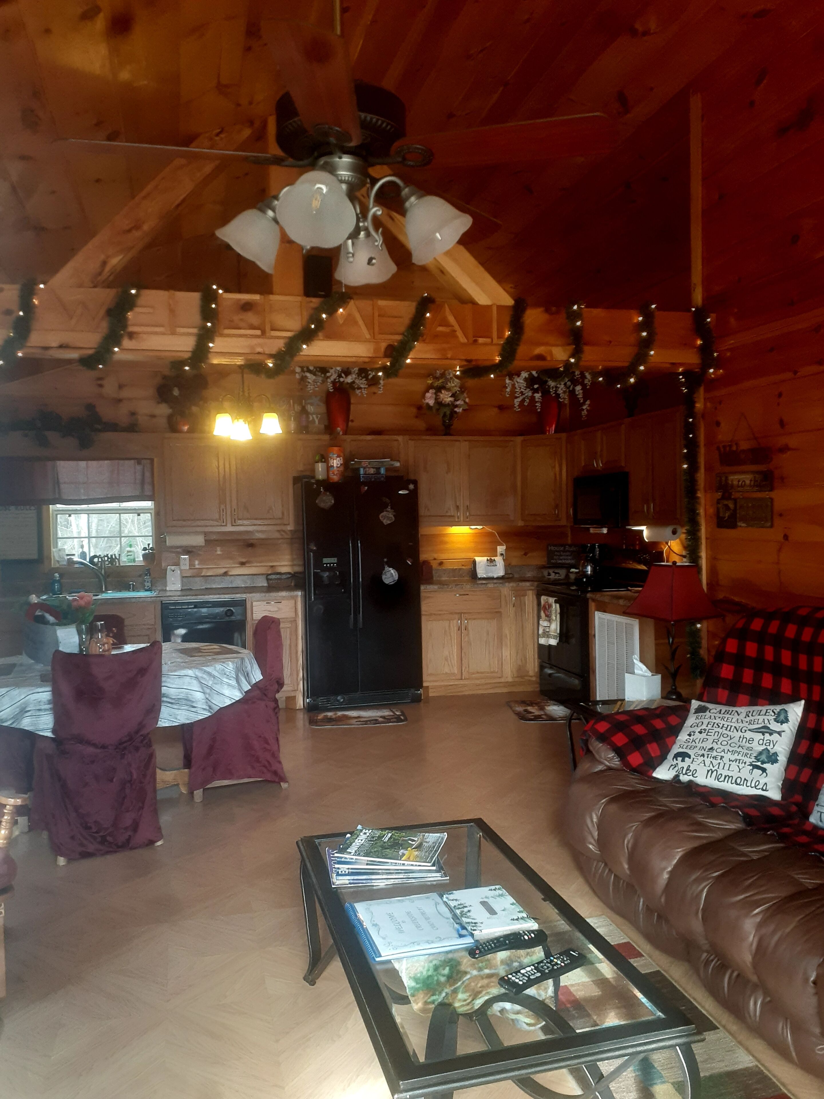 Smart TV, fireplace, DVD player, books