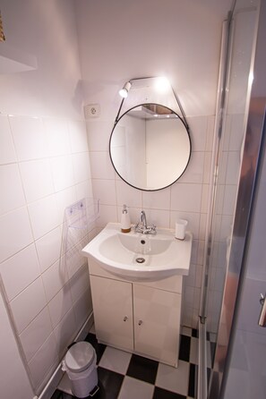 Douche, sèche-cheveux, serviettes fournies, papier toilette