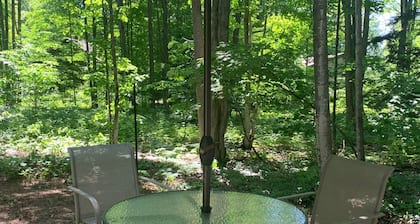 Harbor Springs 2 Bedroom Cottage Close to Boyne Highlands & Nubs Nob
