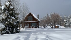 Una cabaña de madera con chimenea, rodeada de árboles cubiertos de nieve y un césped nevado.