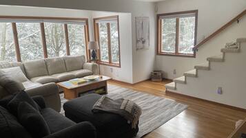 Smart TV, fireplace, video games, DVD player